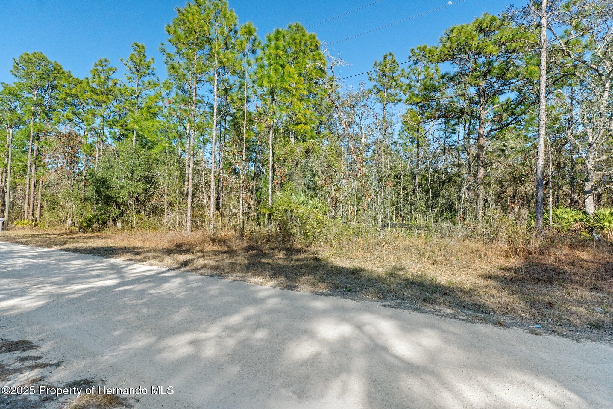 16046 Magpie Road Brooksville, FL 34614 - Photo 1 of 17