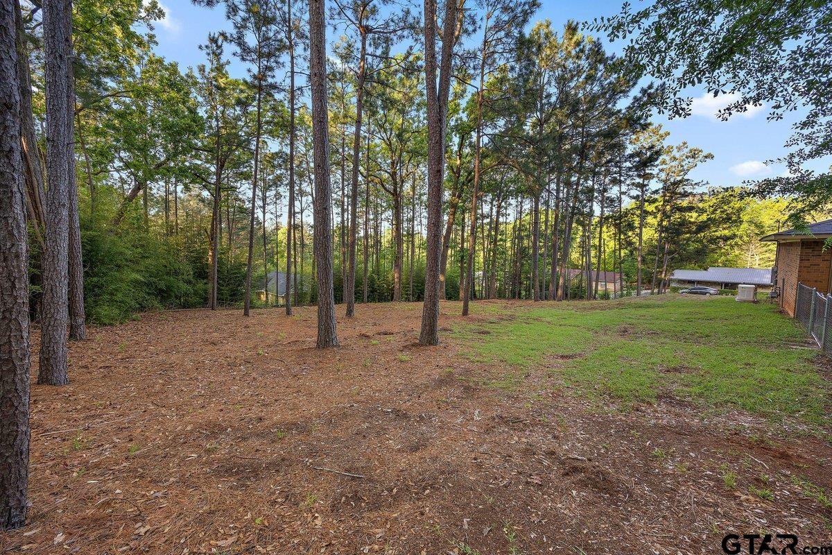 Tbd Lot 18 Tbd Street Rusk, TX 75785 - Photo 2 of 6 a view of a park with large trees