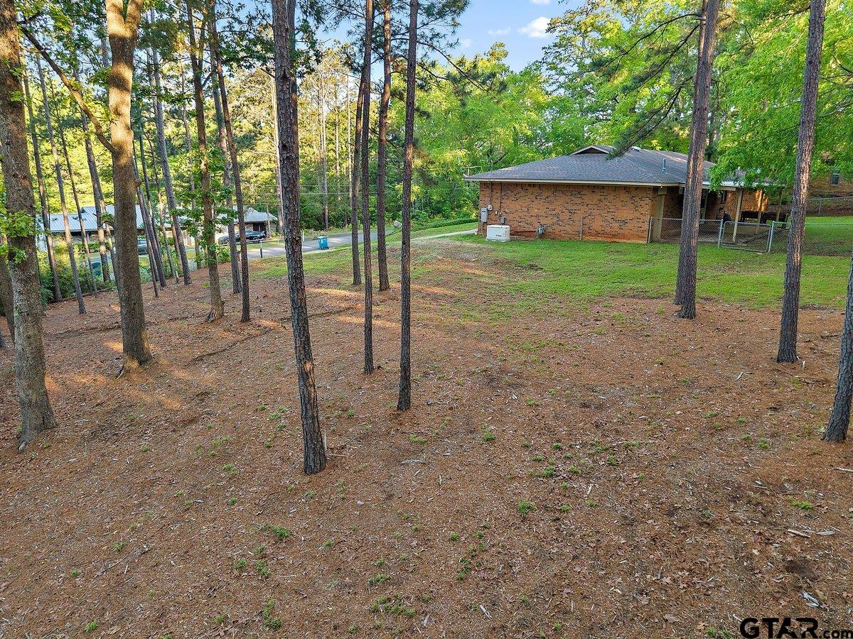 Tbd Lot 18 Tbd Street Rusk, TX 75785 - Photo 3 of 6 a view of a house with backyard and tree