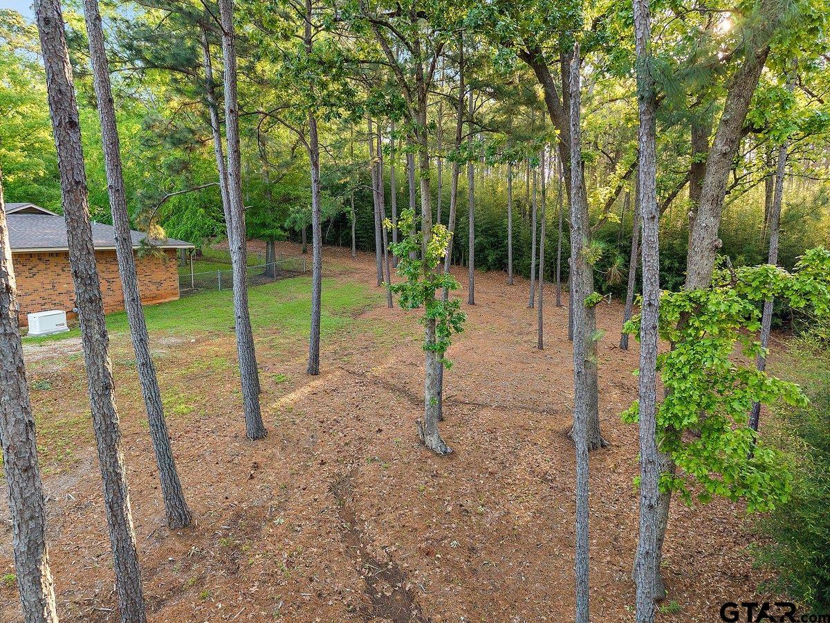 Tbd Lot 18 Tbd Street Rusk, TX 75785 - Photo 5 of 6 a view of a park