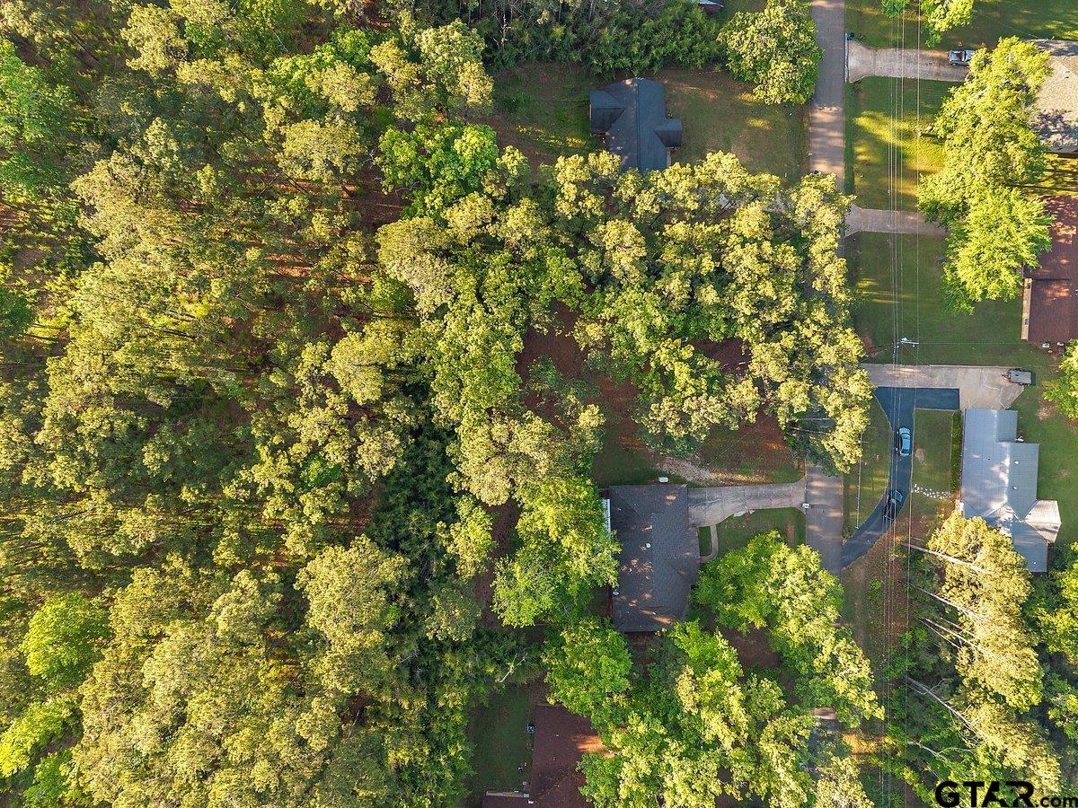 Tbd Lot 18 Tbd Street Rusk, TX 75785 - Photo 6 of 6