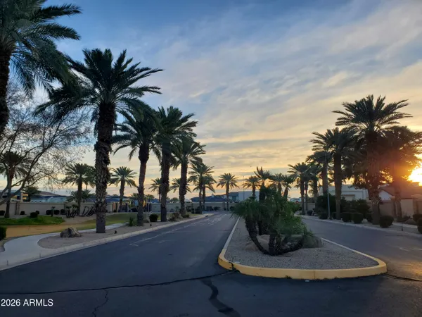 a view of a park with potted plants and palm trees