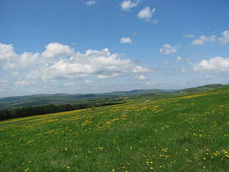 596 New Canada Road New Canada, ME 04743 - Photo 14 of 35 Land.