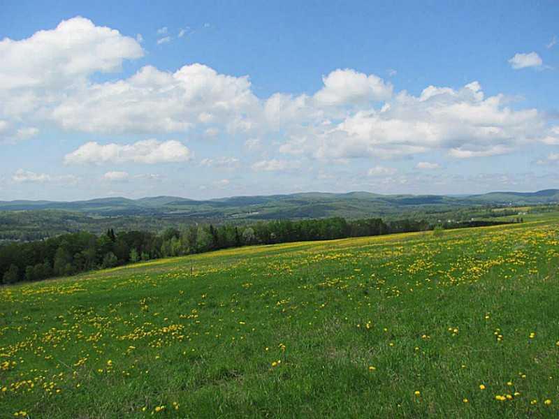 596 New Canada Road New Canada, ME 04743 - Photo 15 of 35 Land. Fields are maintained yearly