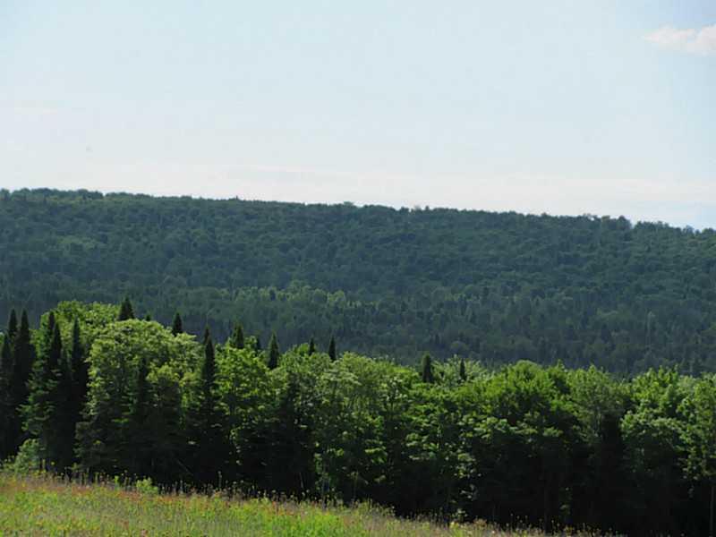 596 New Canada Road New Canada, ME 04743 - Photo 22 of 35 Land.