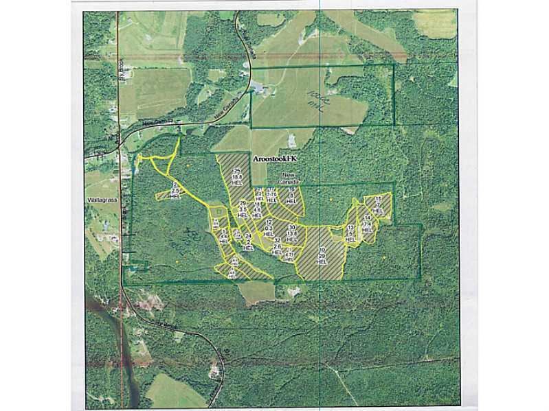 596 New Canada Road New Canada, ME 04743 - Photo 3 of 35 Aerial View. 530 more or less acres...
