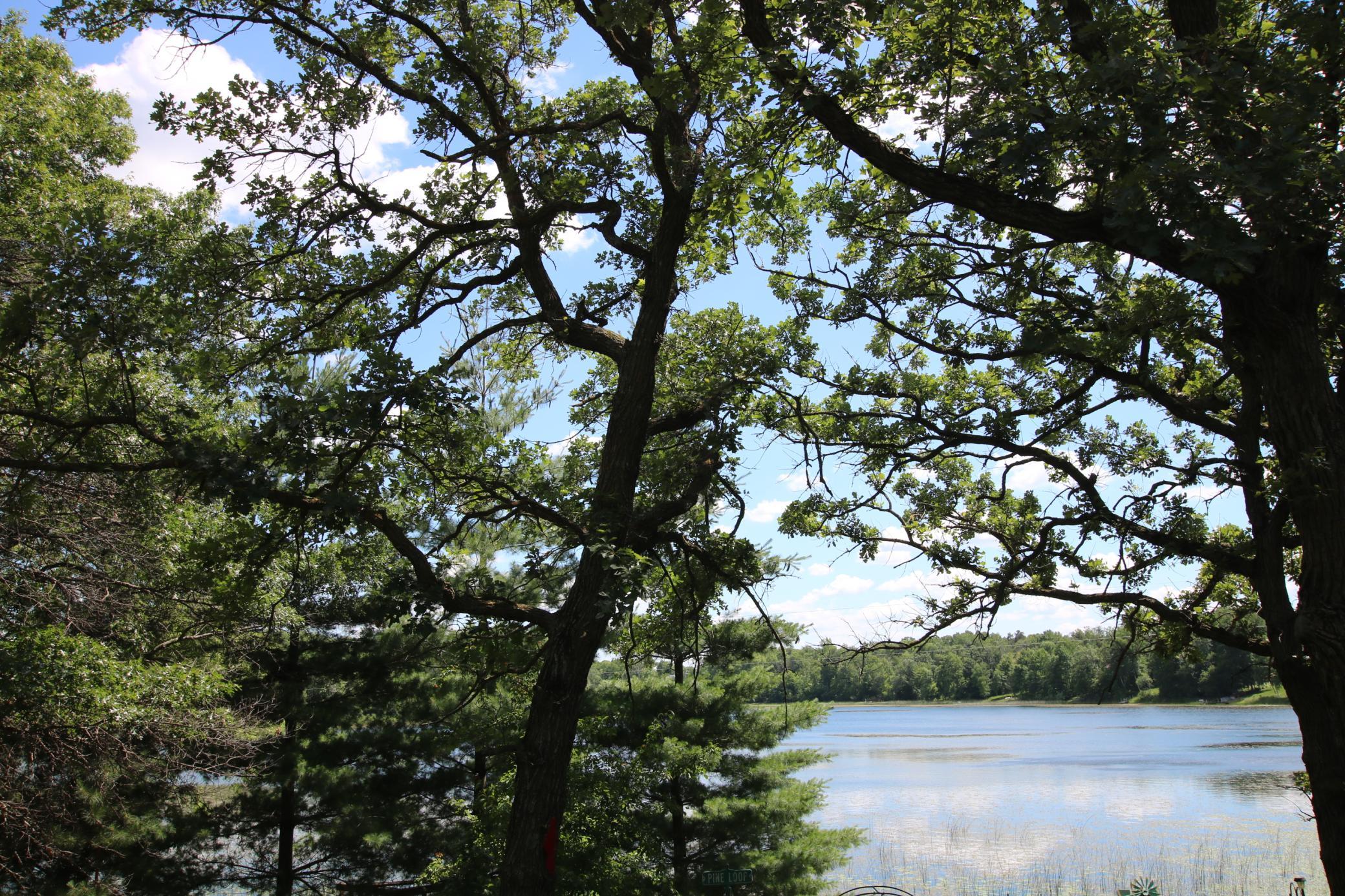 39817 Osage Drive Browerville, MN 56438 - Photo 6 of 28