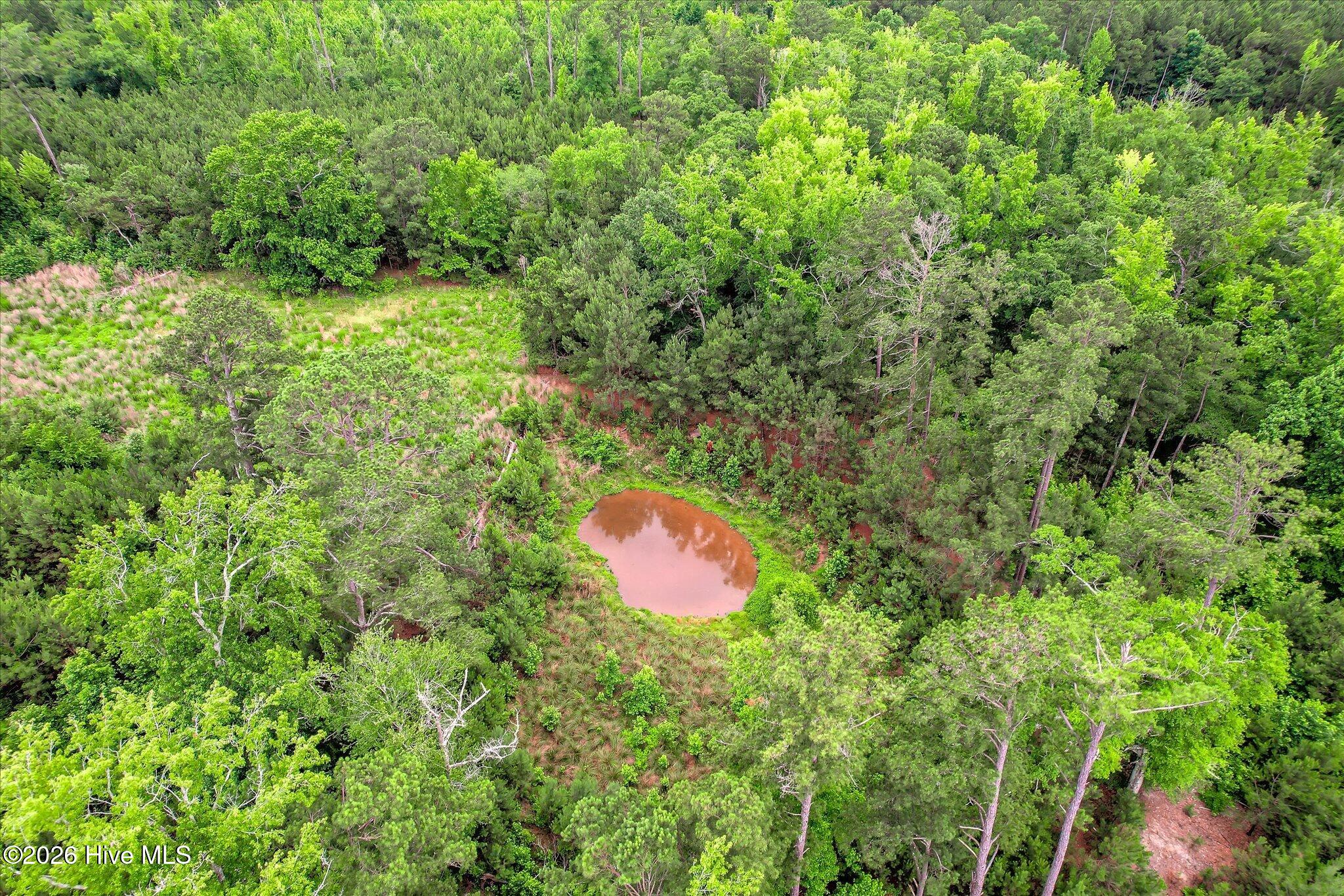 1908 Simons Road Thomson, GA 30824 - Photo 9 of 16