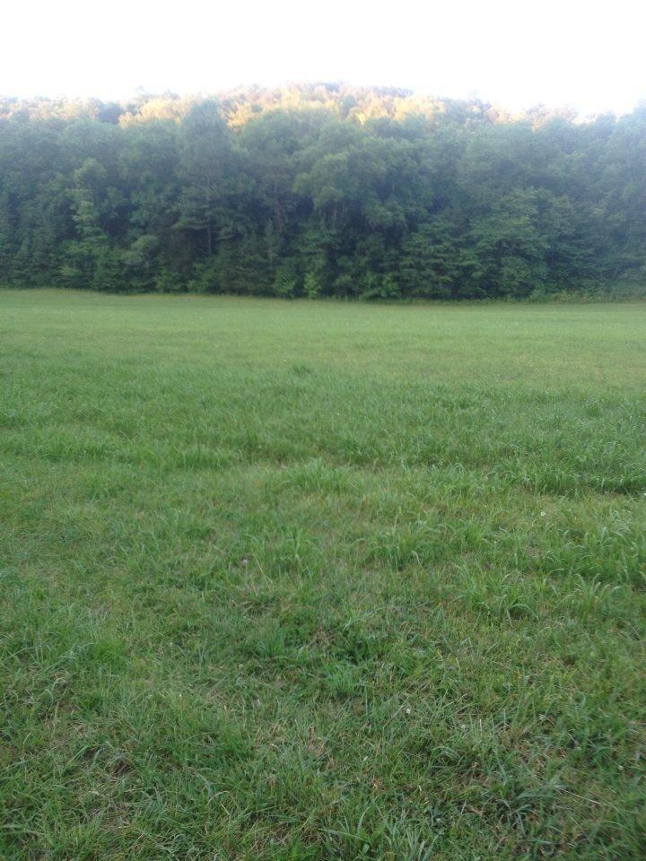890 Minton Hollow Road Burnside, KY 42519 - Photo 15 of 27 Additional Photo