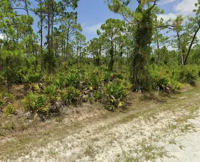 $23,000 | 12297 Hindle Avenue, Punta Gorda, FL 33955