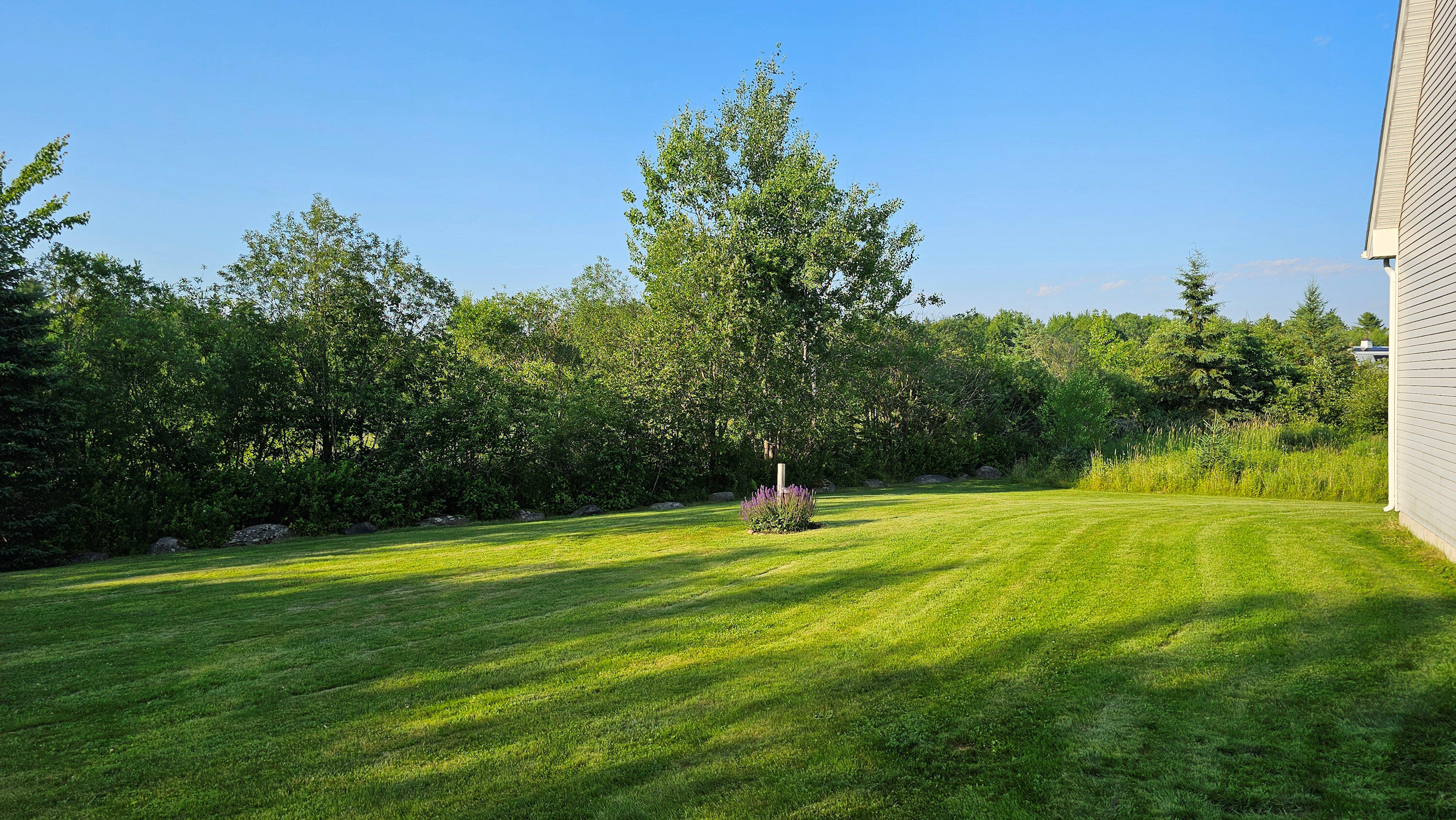 82 Chestnut Trail Bangor, ME 04401 - Photo 54 of 57 Backyard