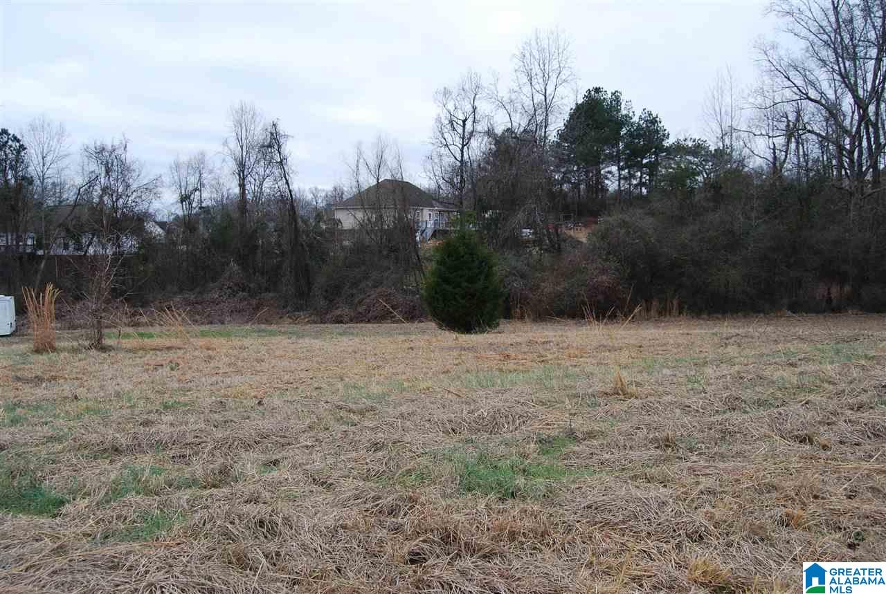 4747 Warrior Jasper Road, Unit 1 Dora, AL 35062 - Photo 5 of 9