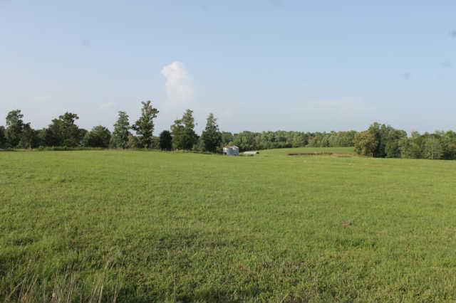 1 Chapel Hill Road Clarksville, TN 37040 - Photo 1 of 2 Gallery Image 1