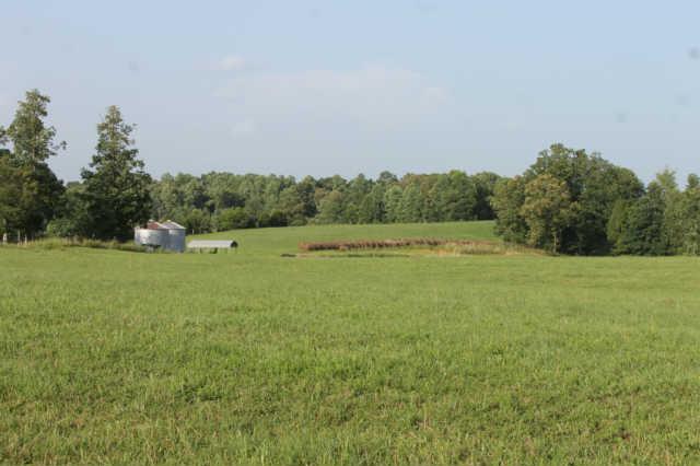 1 Chapel Hill Road Clarksville, TN 37040 - Photo 2 of 2 Gallery Image 2