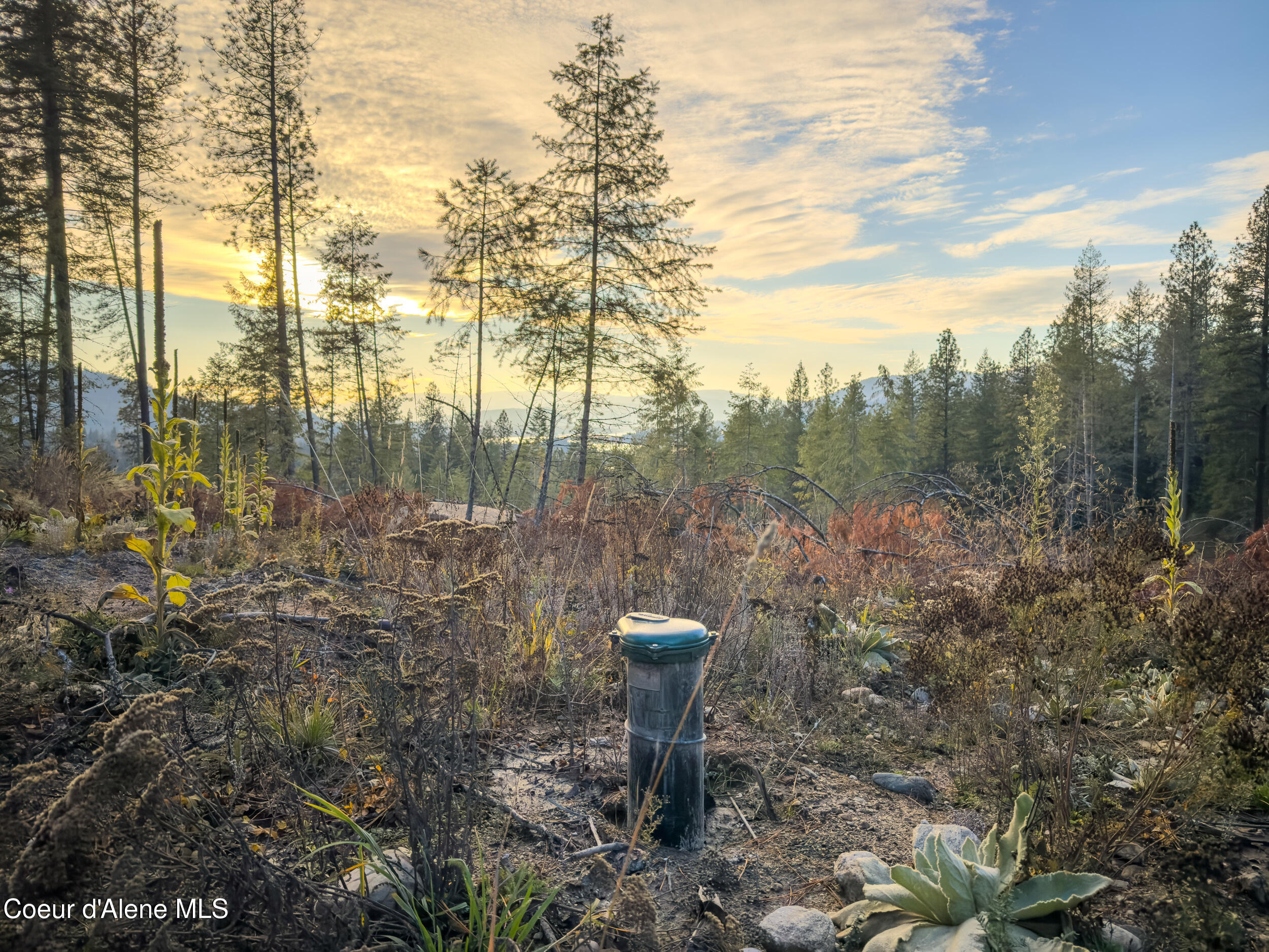 320 Towering Pines Drive Sagle, ID 83860 - Photo 18 of 21 3-12