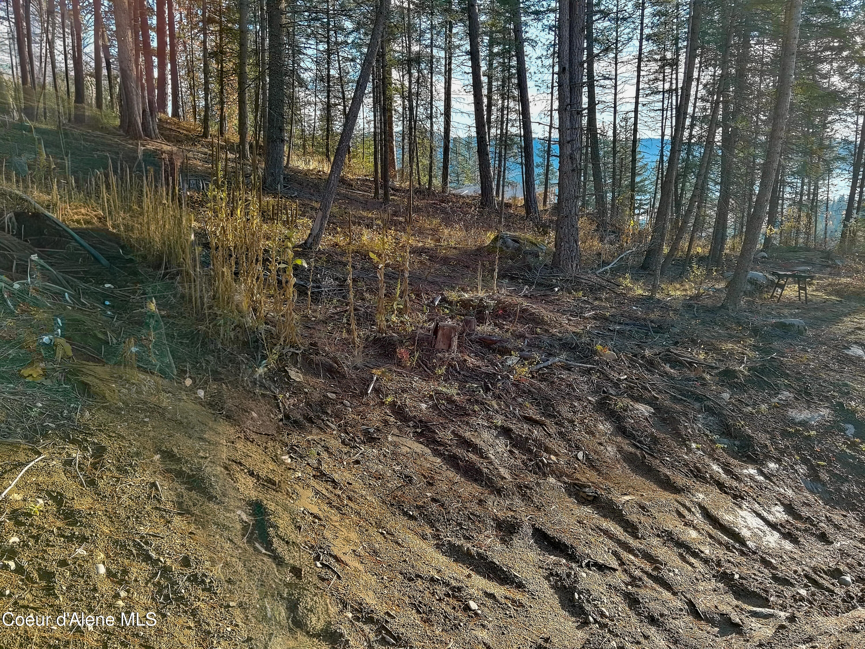 320 Towering Pines Drive Sagle, ID 83860 - Photo 19 of 21 MAX_1031762176