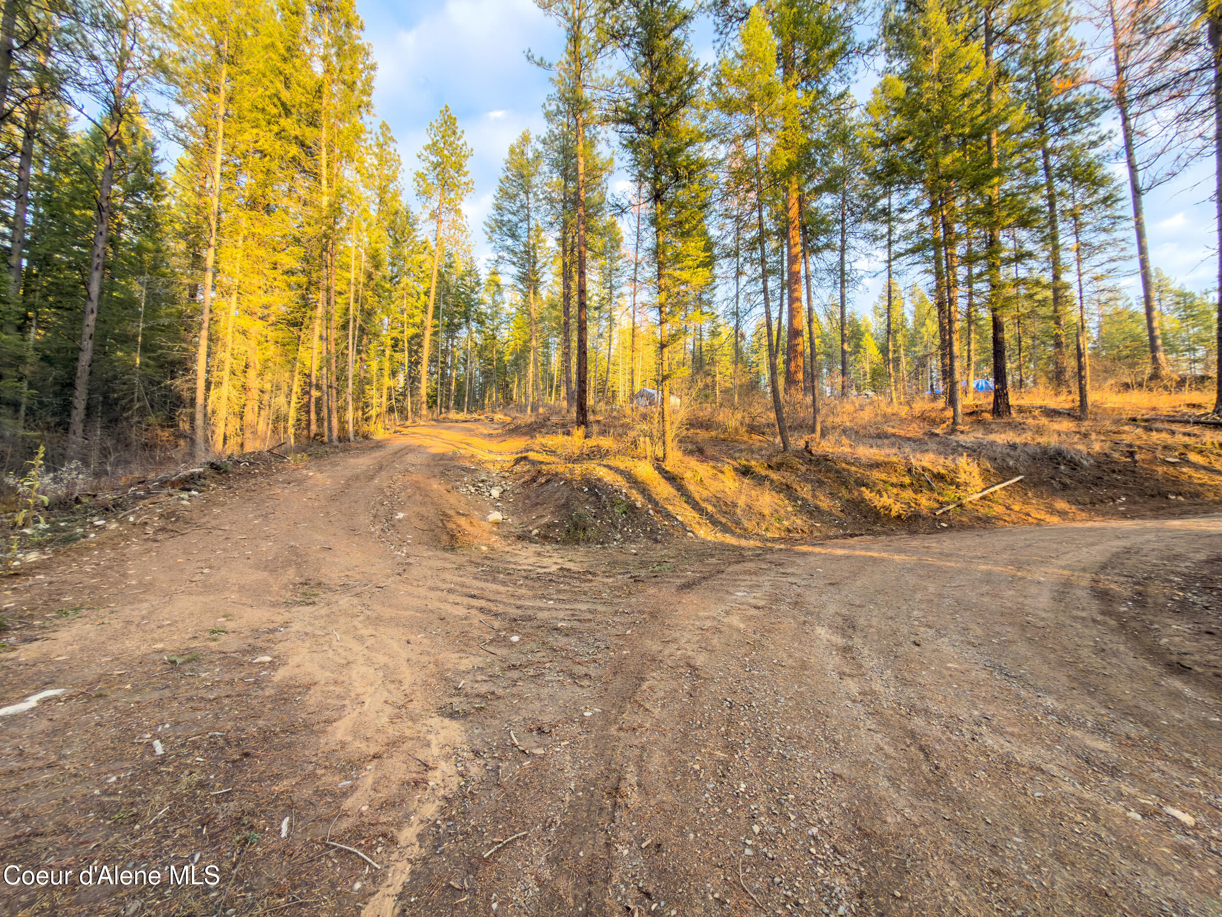 320 Towering Pines Drive Sagle, ID 83860 - Photo 20 of 21 3-14