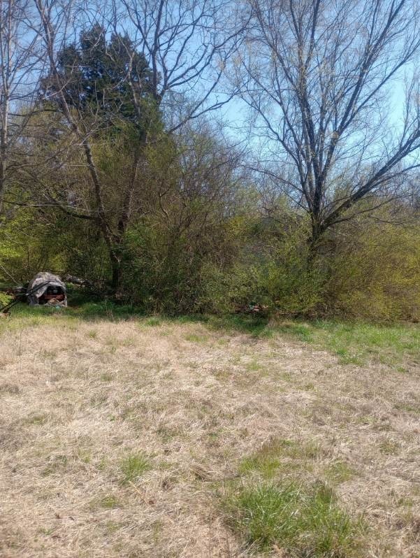 3823 Hamilton Church Road Antioch, TN 37013 - Photo 8 of 8 Gallery Image 8