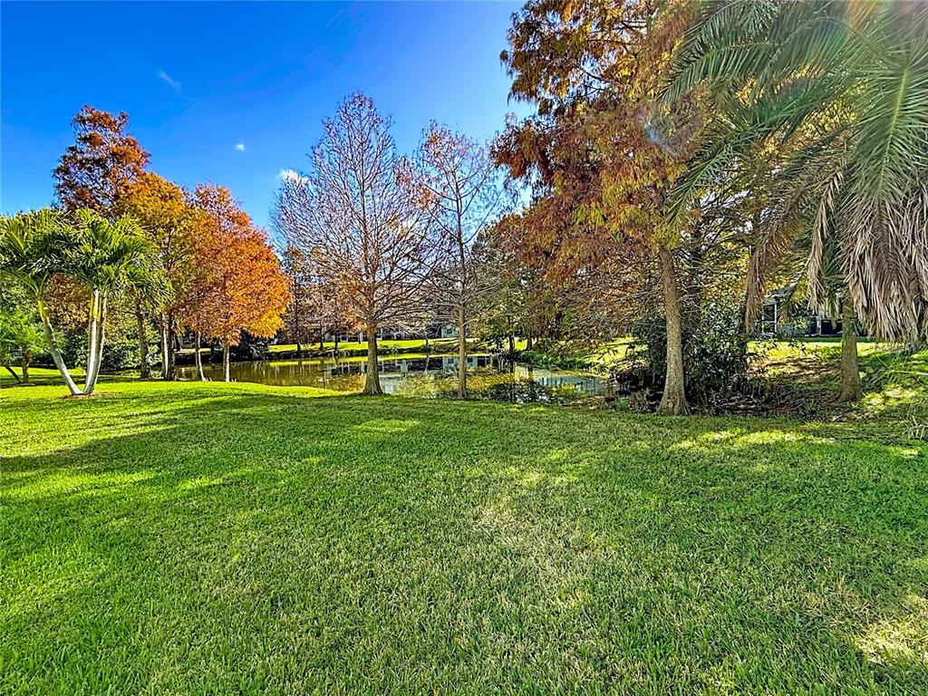 11117 Kapok Grand Circle Madeira Beach, FL 33708 - Photo 1 of 62 a view of green field