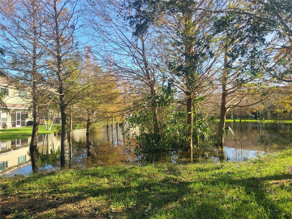 11117 Kapok Grand Circle Madeira Beach, FL 33708 - Photo 19 of 62