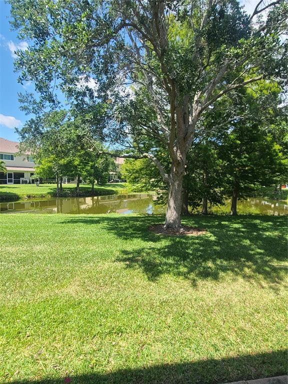 11117 Kapok Grand Circle Madeira Beach, FL 33708 - Photo 20 of 62 a view of a golf course