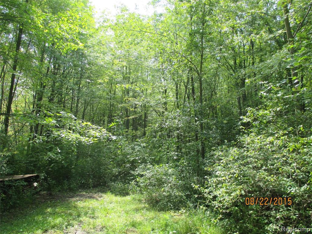 0 McKinley Road East China, MI 48054 - Photo 6 of 17