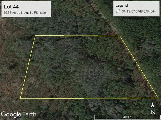 $42,000 | Lot 44 Southwest Ontario Road, Greenville, FL 32331