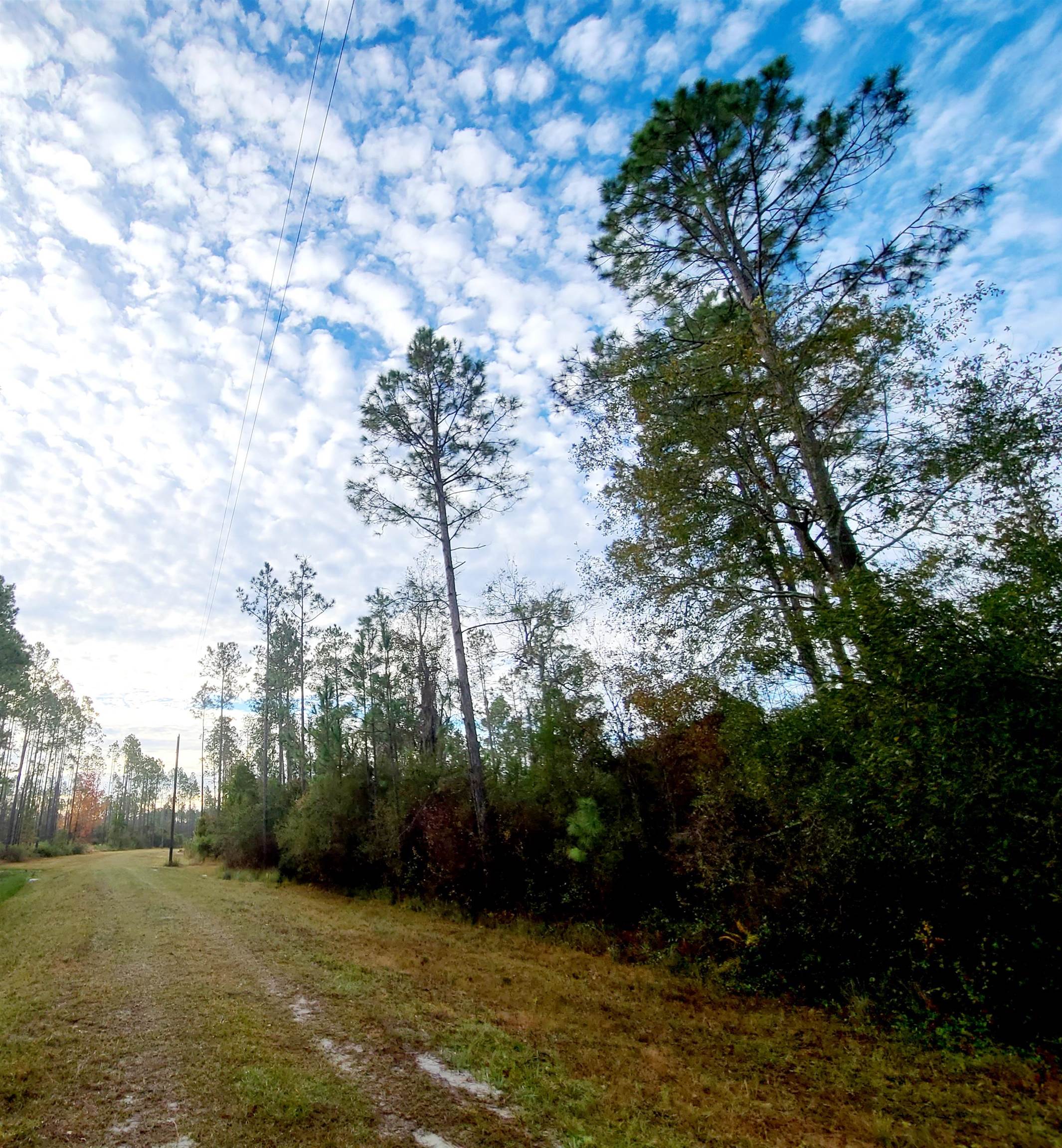 Lot 44 Southwest Ontario Rd  