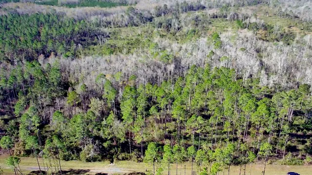 $42,000 | Lot 44 Southwest Ontario Road, Greenville, FL 32331