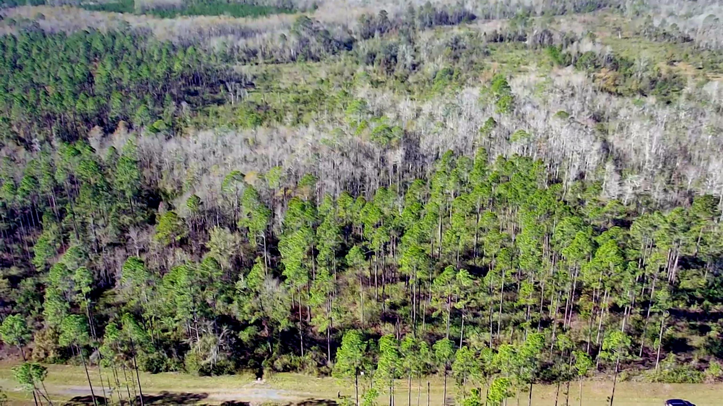 Lot 44 Southwest Ontario Road Greenville, FL 32331 - Photo 11 of 17