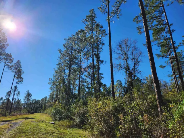 $42,000 | Lot 44 Southwest Ontario Road, Greenville, FL 32331