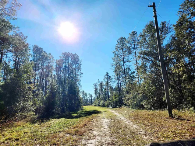 $42,000 | Lot 44 Southwest Ontario Road, Greenville, FL 32331