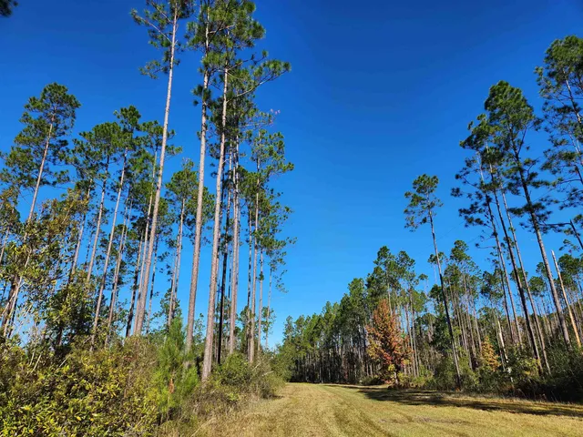 $42,000 | Lot 44 Southwest Ontario Road, Greenville, FL 32331
