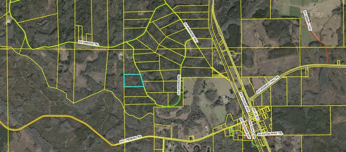 Lot 44 Southwest Ontario Road Greenville, FL 32331 - Photo 3 of 17