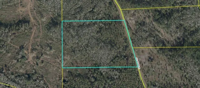 $42,000 | Lot 44 Southwest Ontario Road, Greenville, FL 32331