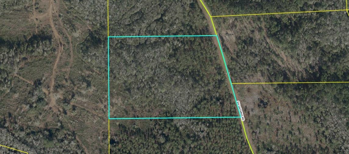 Lot 44 Southwest Ontario Road Greenville, FL 32331 - Photo 5 of 17