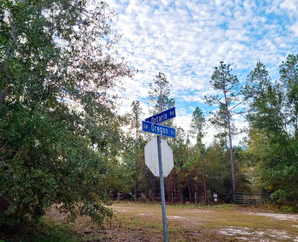 $42,000 | Lot 44 Southwest Ontario Road, Greenville, FL 32331