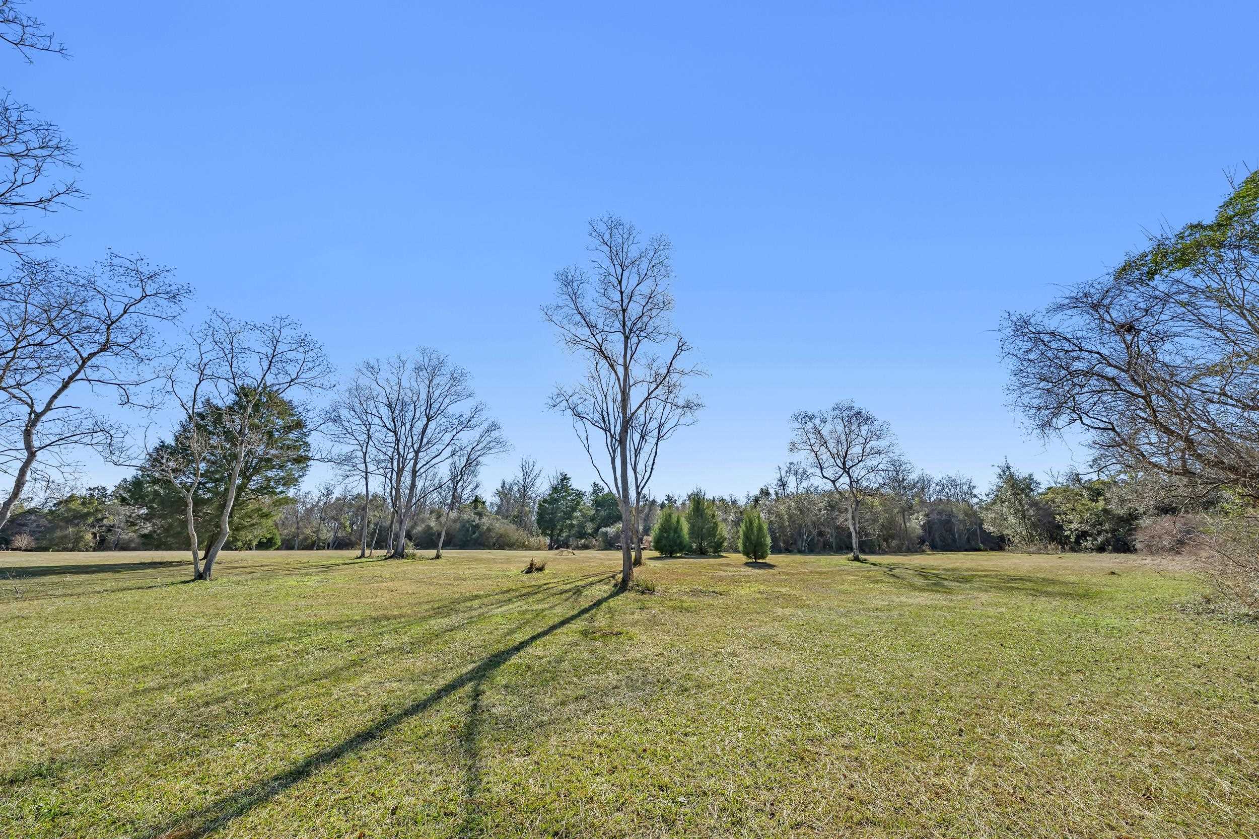 16691 Mosley Road Stapleton, AL 36578 - Photo 27 of 32 Yard