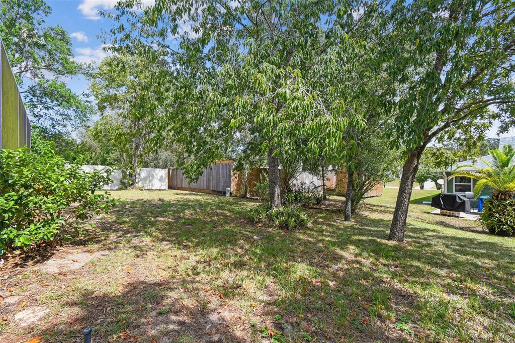 2222 Champlain Avenue Spring Hill, FL 34609 - Photo 53 of 74 a backyard of a house with lots of green space