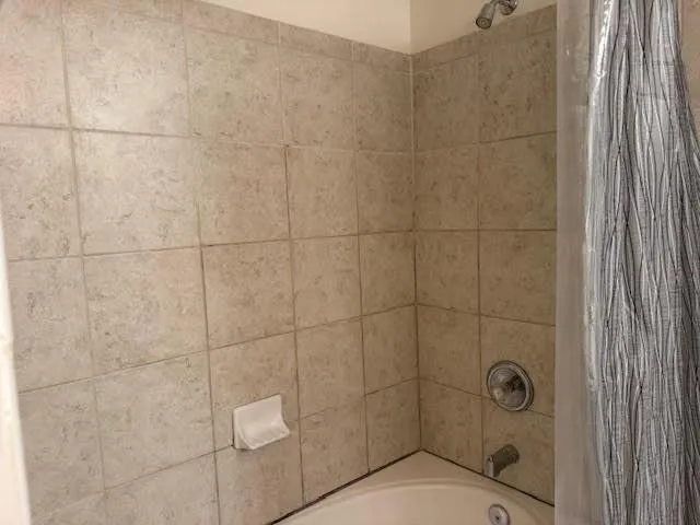 a bathroom with a shower and toilet