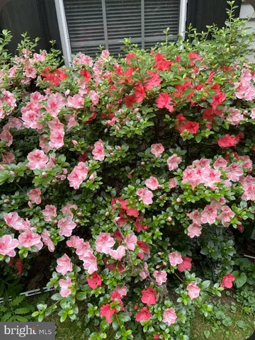 a view of a house with patio