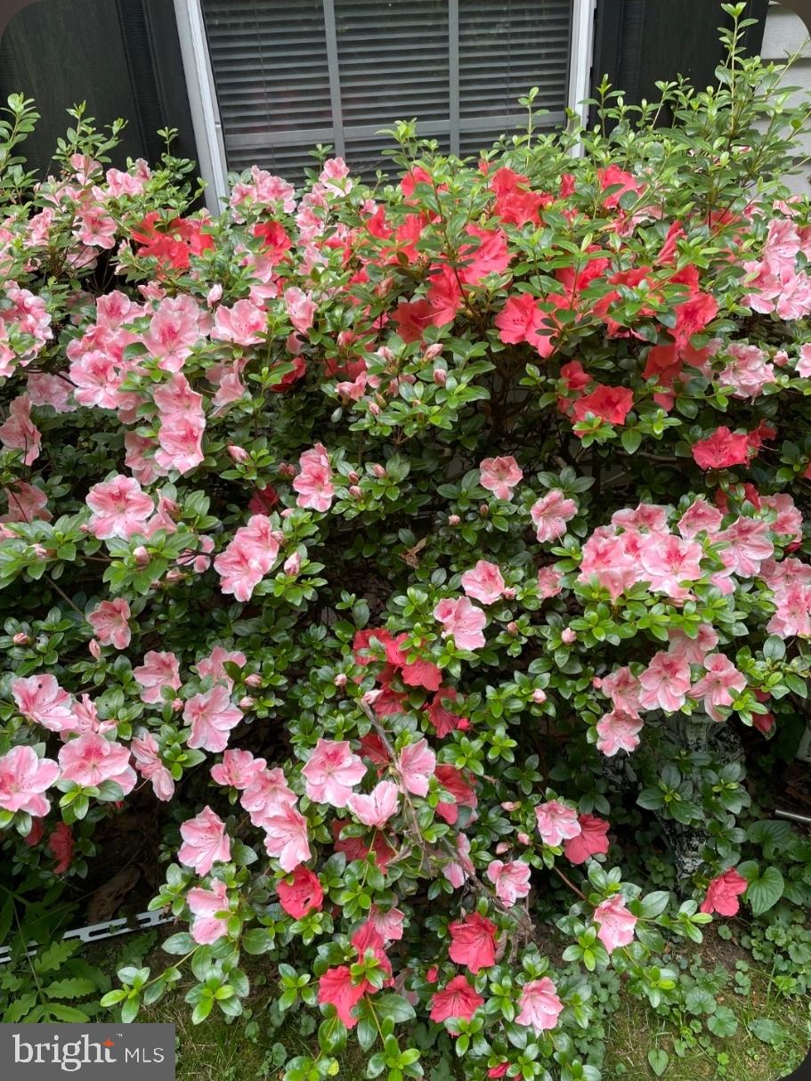 1302 Clover Valley Way, Unit 1302C Edgewood, MD 21040 - Photo 23 of 25