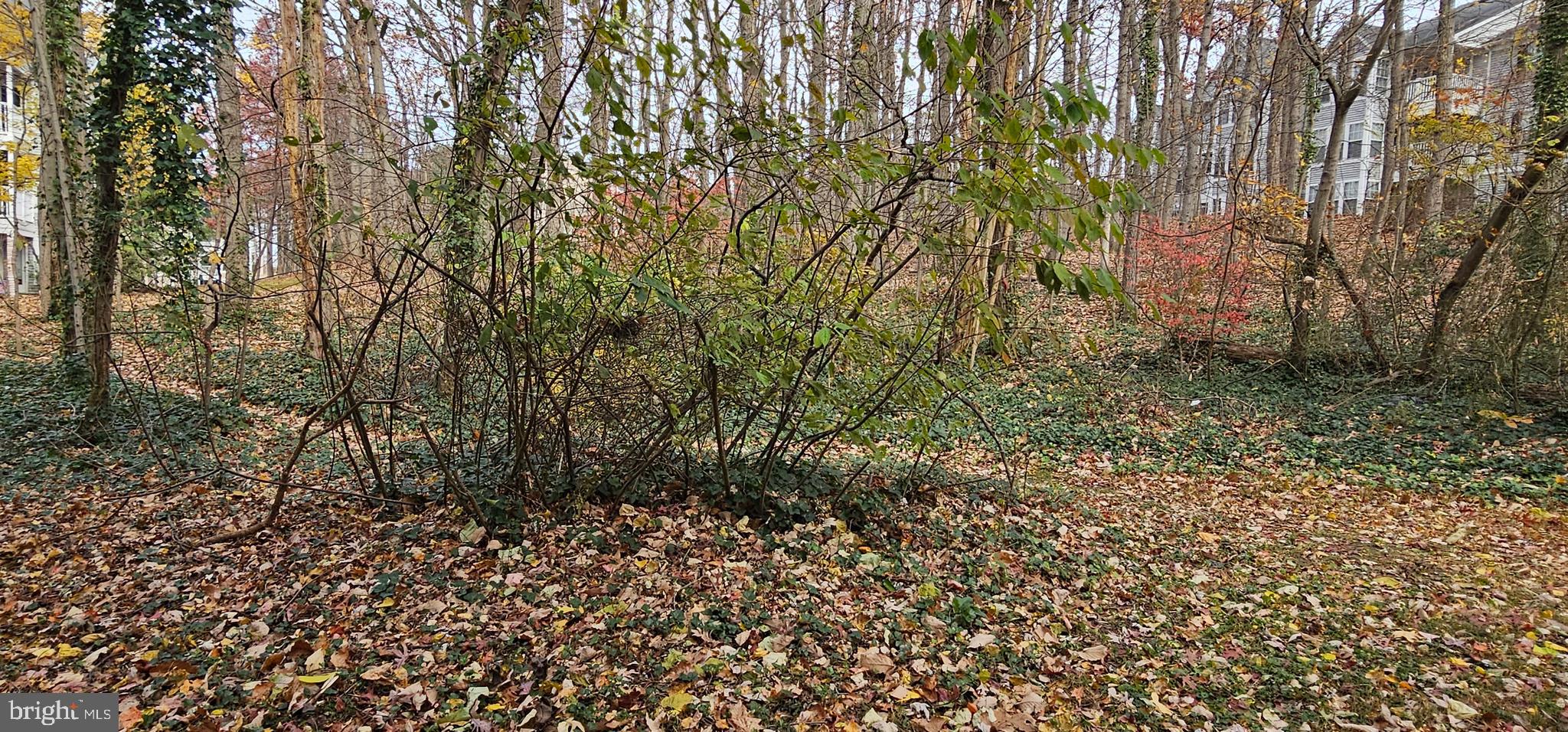 1302 Clover Valley Way, Unit 1302C Edgewood, MD 21040 - Photo 24 of 25 a view of a yard