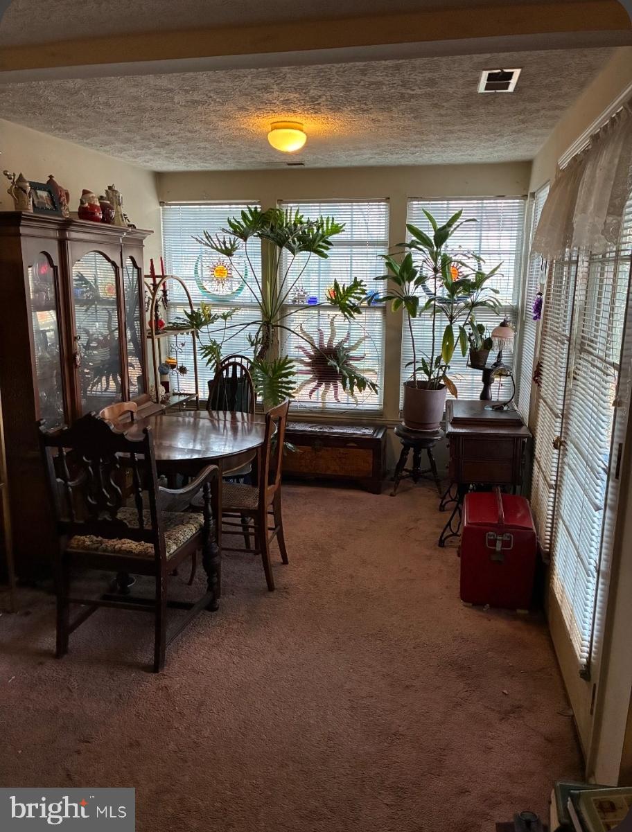 1302 Clover Valley Way, Unit 1302C Edgewood, MD 21040 - Photo 10 of 25 a living room with furniture and a potted plant