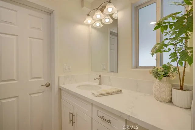 a bathroom with a potted plant and a sink