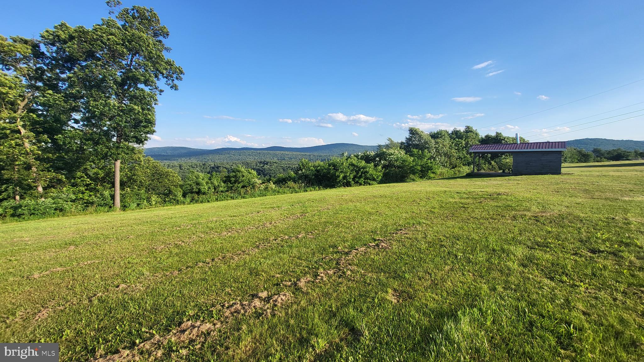 200 Pisgah Rest Shermans Dale, PA 17090 - Photo 19 of 23 a view of a big yard with lots of green space and mountain view in back