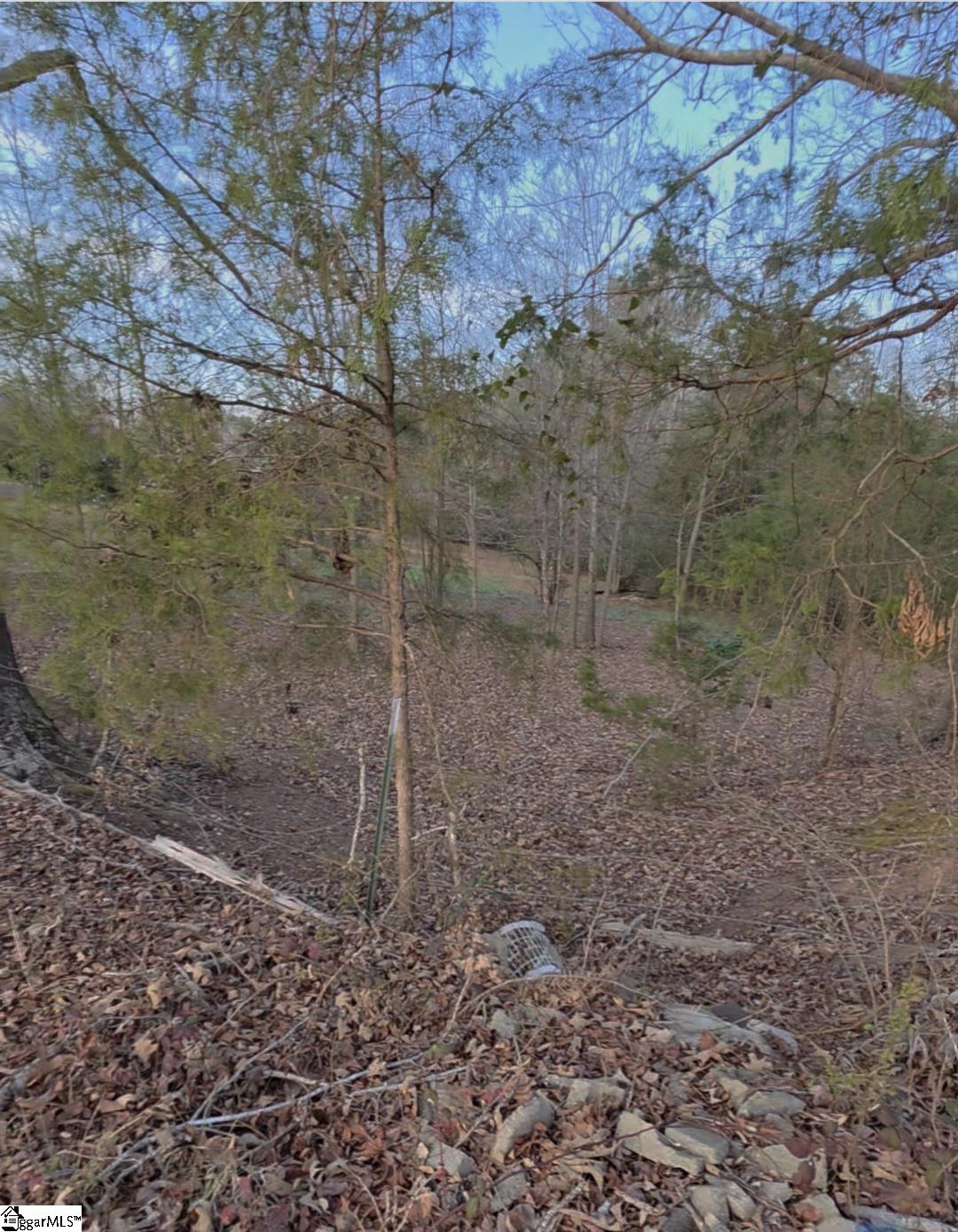 469 Boyce Page Road Honea Path, SC 29654 - Photo 11 of 14