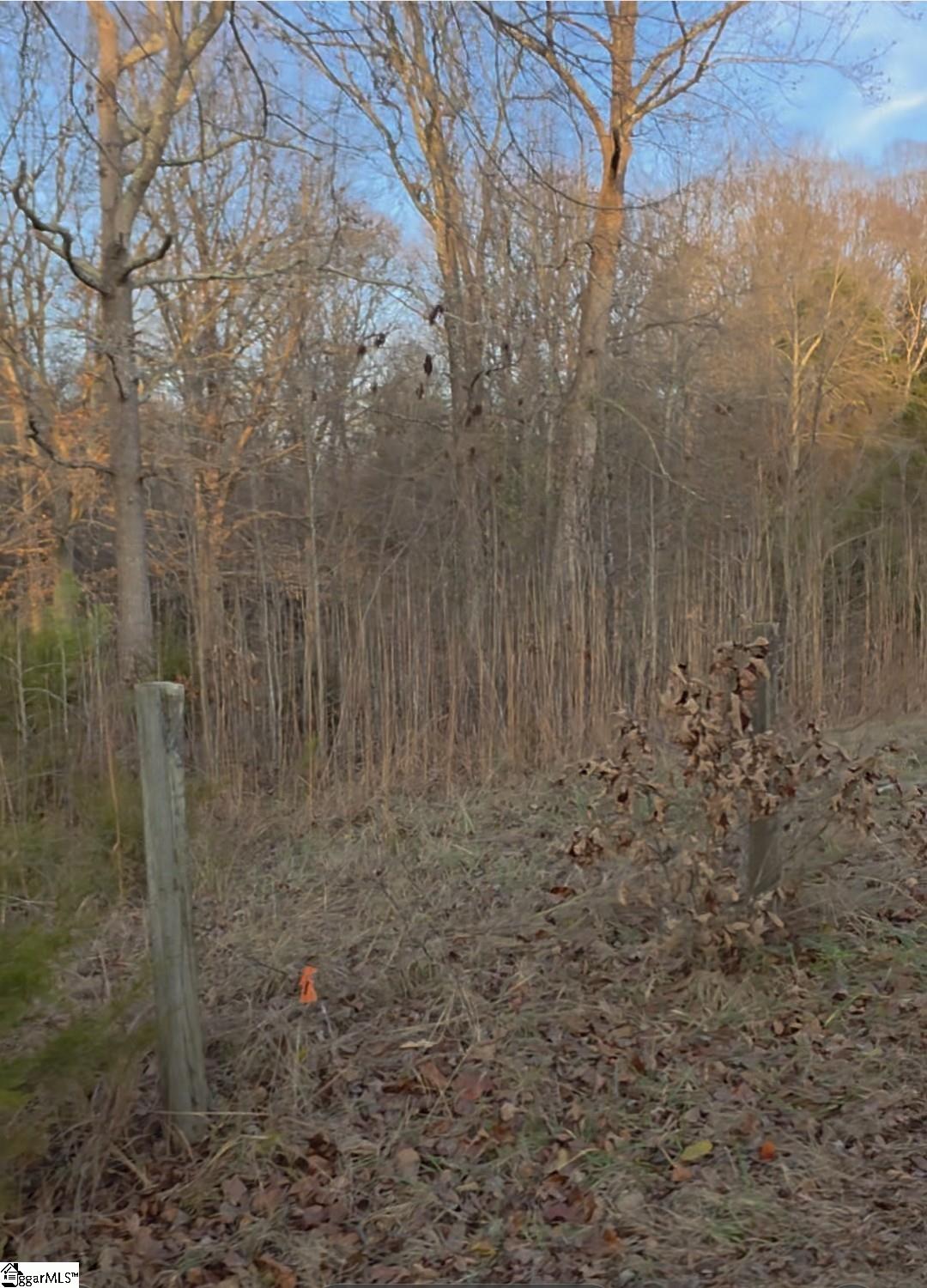 469 Boyce Page Road Honea Path, SC 29654 - Photo 13 of 14
