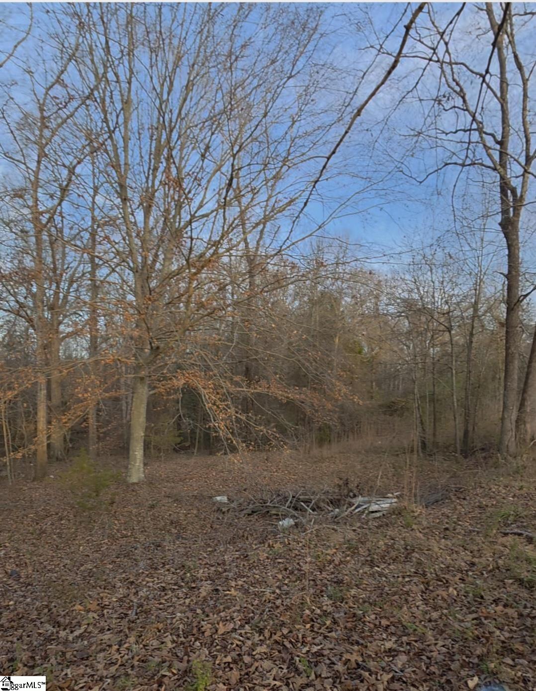 469 Boyce Page Road Honea Path, SC 29654 - Photo 7 of 14