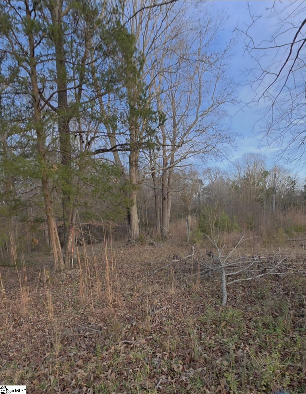 469 Boyce Page Road Honea Path, SC 29654 - Photo 9 of 14